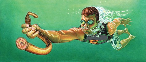 sea lamprey